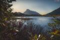 Last Call of Fall (Vermillion Lakes)