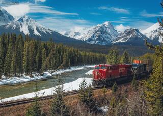 train going through morants curve in banff national park in canadian rocky mountains in spring with snow capped mountains in the distance 