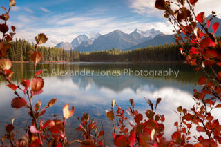 Fall afternoon at herbert lake in canadian rockies mountains