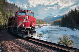train going past morants curve in banff national park on a bright spring afternoon with snow capped mountains in the distance. 