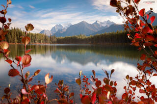 Fall afternoon at herbert lake in canadian rockies mountains