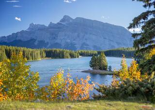 Two Jack Lake during fall in banff national park