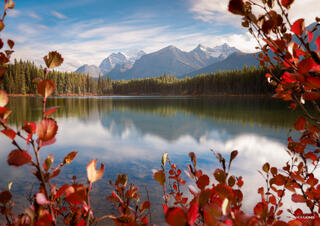 Fall afternoon at herbert lake in canadian rockies mountains