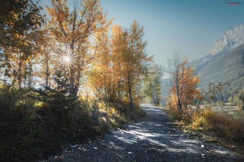sun rays streaking though fall trees quarry lake canmore