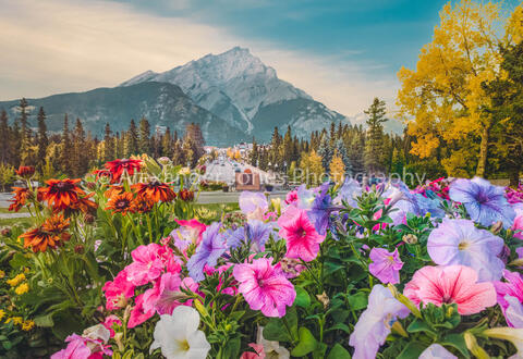 Banff main street looking at cascade mountain during fall
