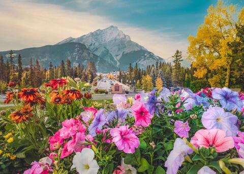 Banff National Park