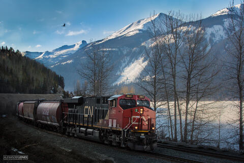 Freight train going around a bend in the mountains with a bird flying by in the background