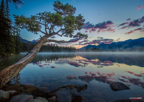 Moments before sunrise over mountain lake with reflections on the water at lac beauvert in jasper national park in canadian rocky mountains