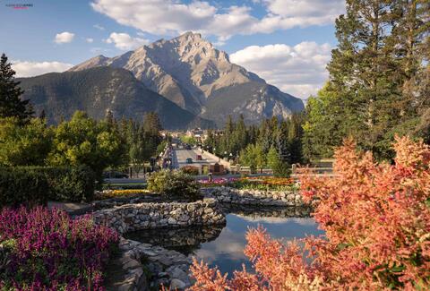 banff avenue summer photo with flowers