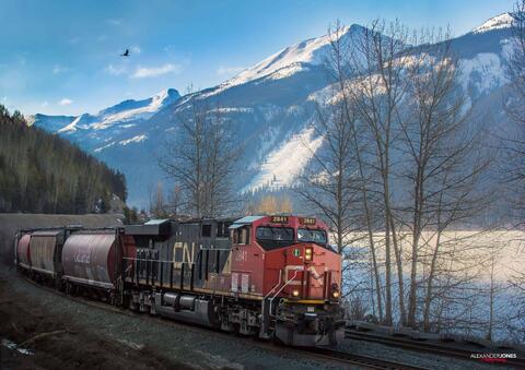 Freight train going around a bend in the mountains with a bird flying by in the background