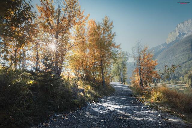 Fall Wander print