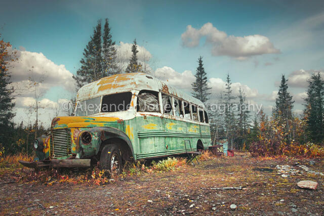 Magic Bus Vibe  print