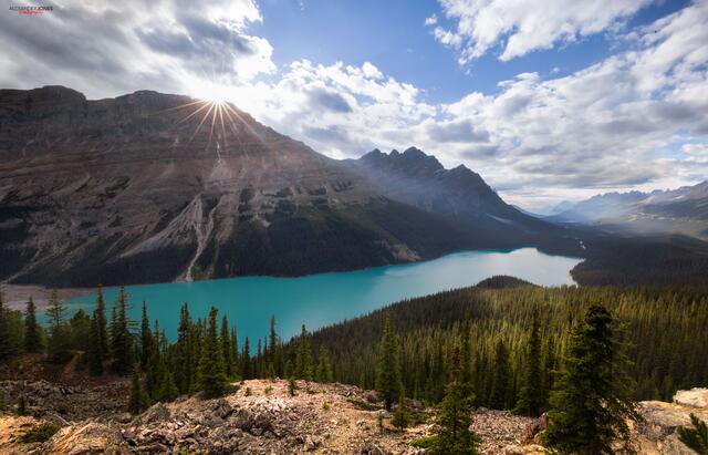 Peyto Glow print