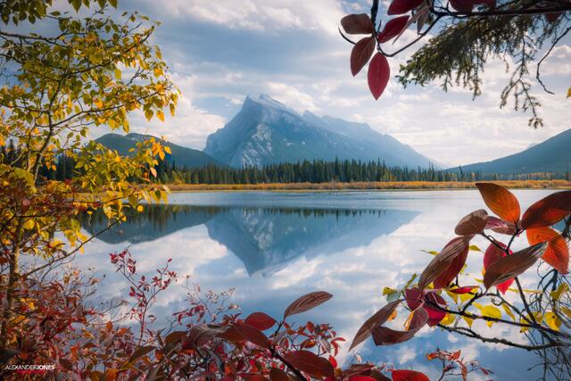 Scarlet (Mt. Rundle) print