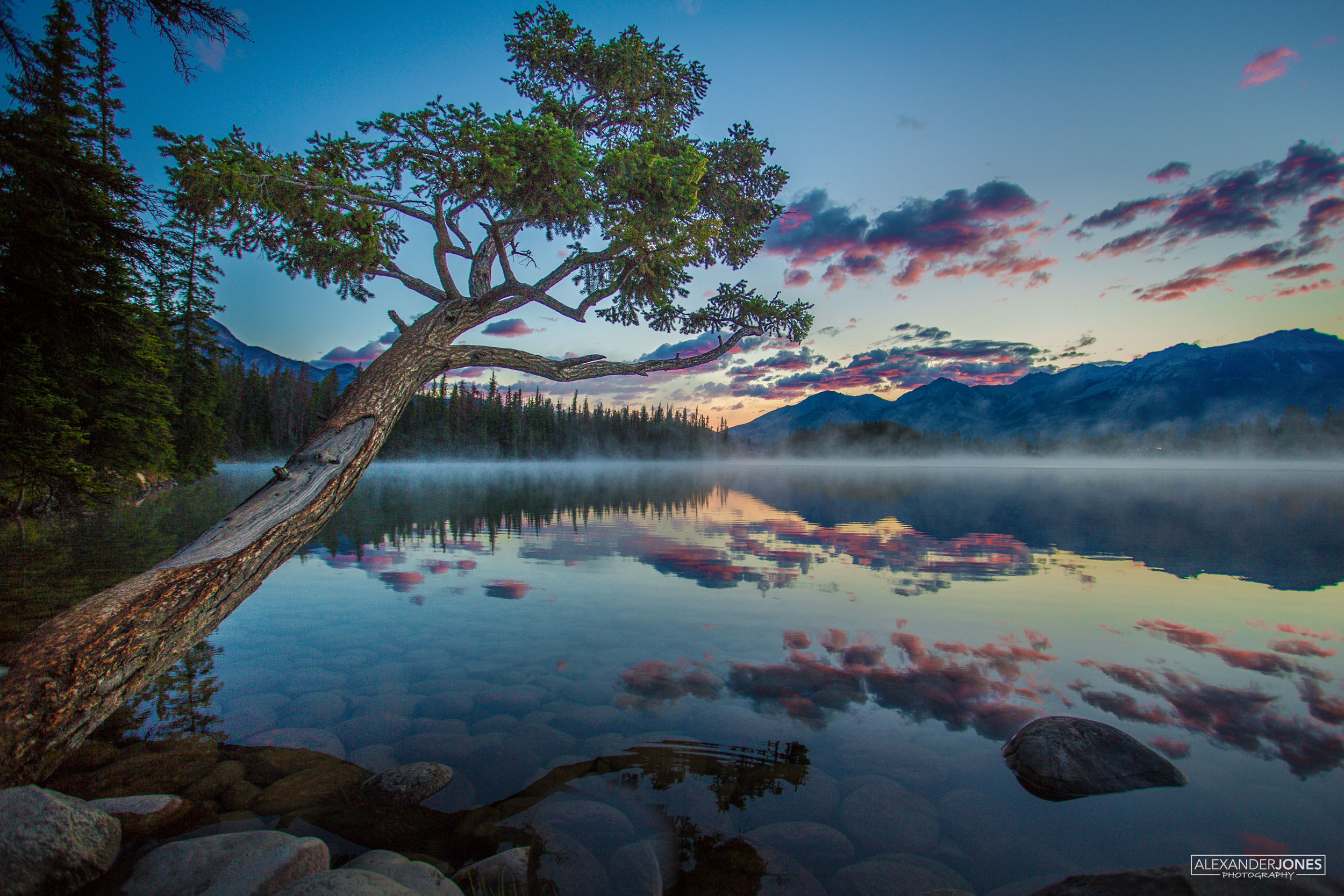 Lac Beauvert Rise, Jasper Moments before sunrise over mountain lake with reflections on the water at lac beauvert in jasper national park in canadian rocky mountains