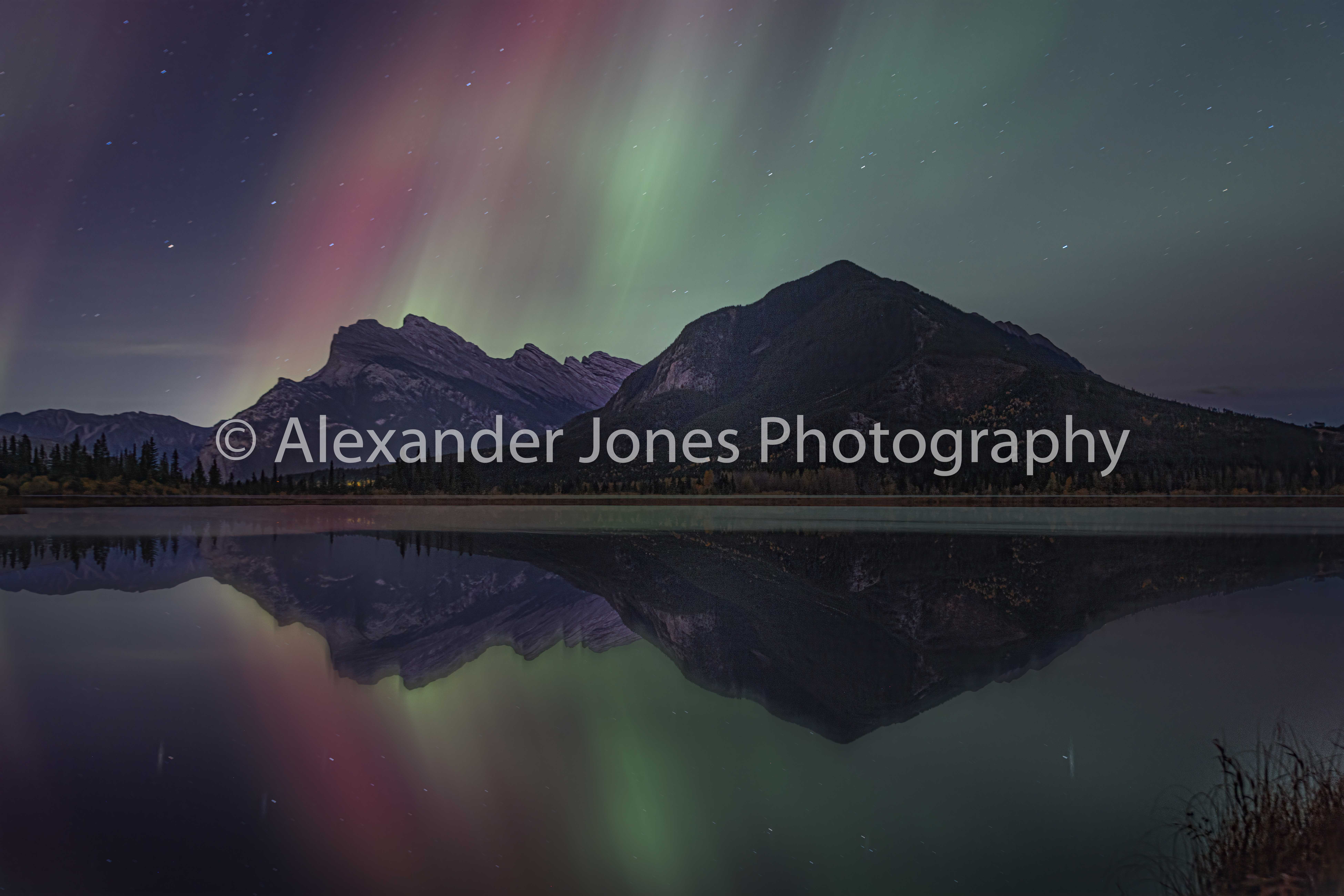 Mount Rundle Fire Festival purple and green northern lights over vermillion lakes and mount rundle in banff national park